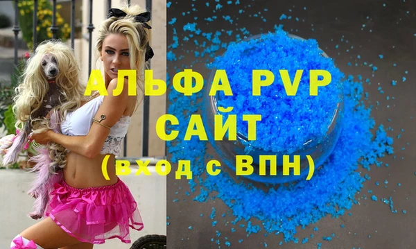 стаф Новосибирск
