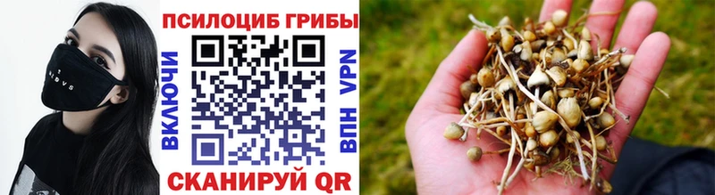 цены наркотик  Шумиха  Галлюциногенные грибы прущие грибы 