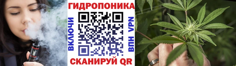 Конопля ГИДРОПОН  Шумиха 